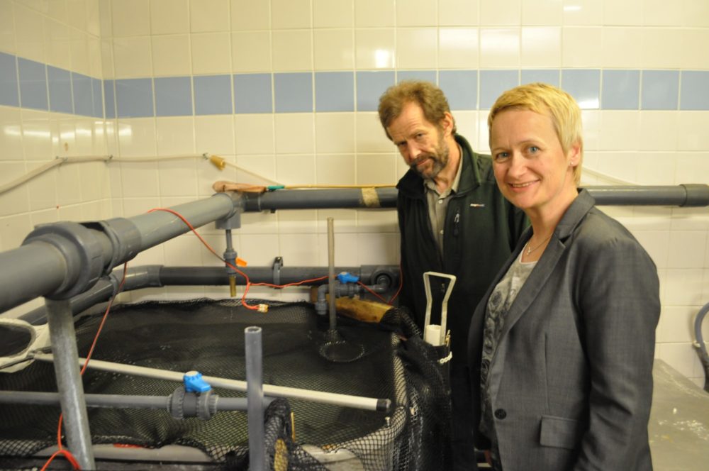 Henning Sørum kom fram til resultatene etter mange års forskning på fisken. 
