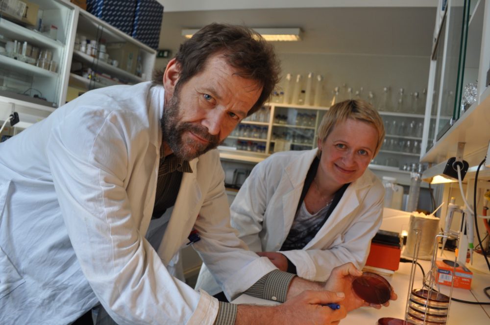 Forsker og idéhaver Henning Sørum og daglig leder Ann Ingeborg Wålen i Previwo jobber nå med å bringe vaksinen fra laben til fabrikken.