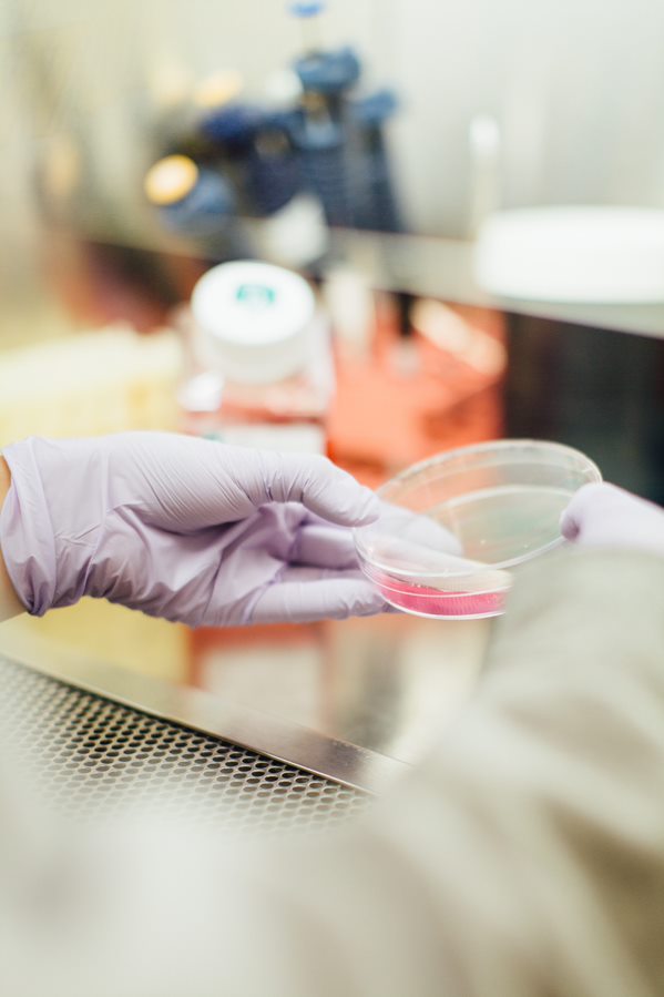 Bildet viser en hånd som holder en skål i et laboratorium