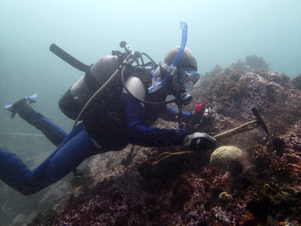Bildet viser en dykker under vann som leter etter krokeboller