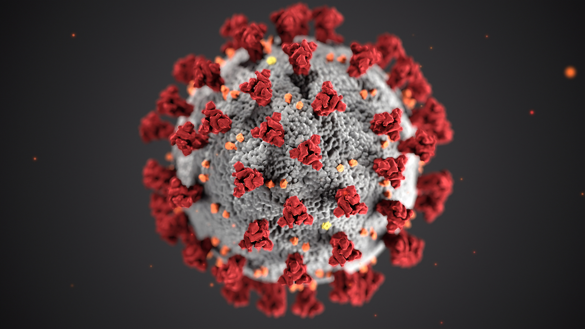 Bildet viser en illustrasjon av koronaviruset COVID-19