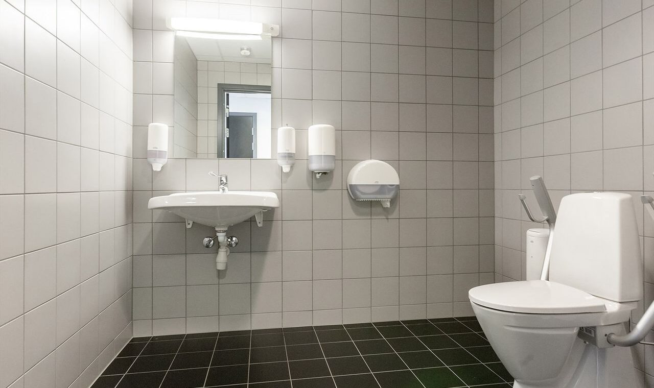 Bildet viser et handicaptoalett med vask og speil